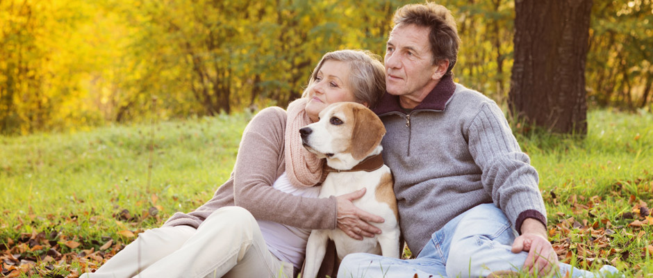 hundeforsikring-aros-forsikring