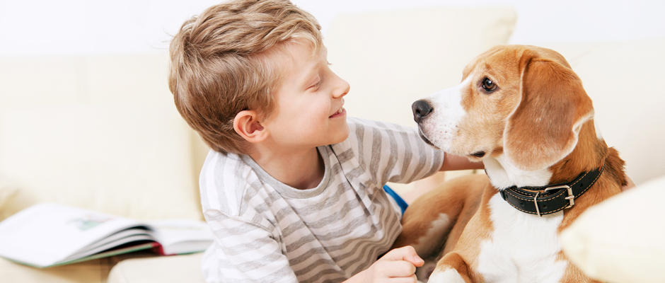 hunde-forsikring-aros-forsikring