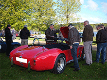 ac-cobra